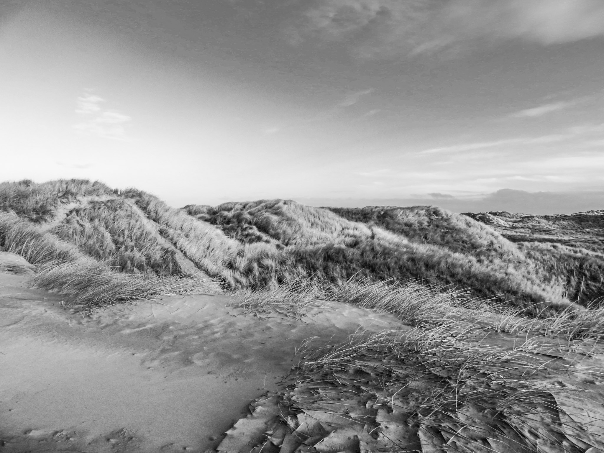 Striking Monochrome Landscape